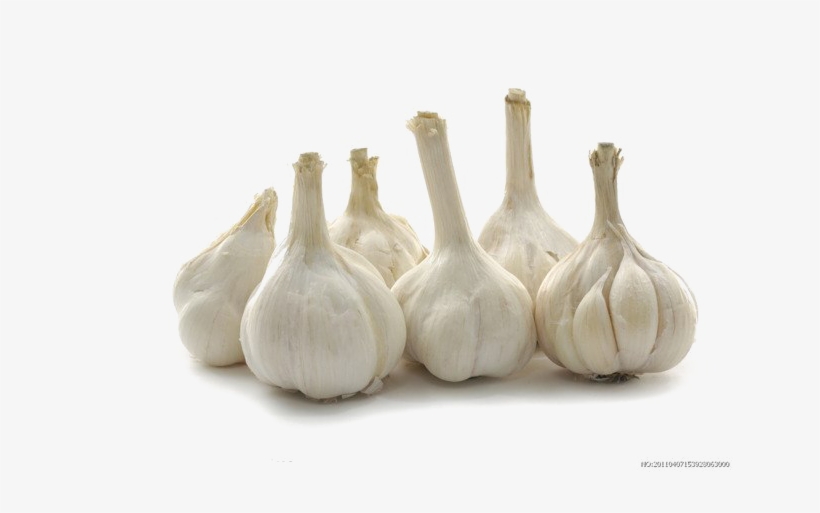 Raw Garlic Png Transparent Image - 廚房是你家的天然藥房, transparent png
