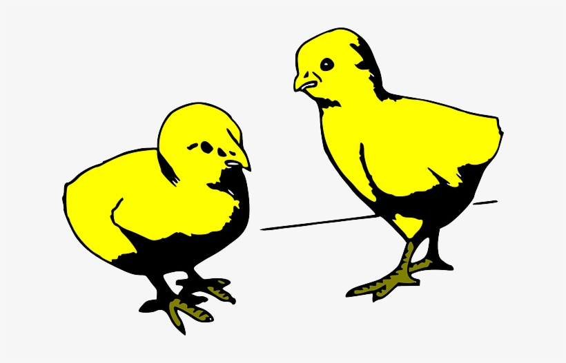 Baby, Two, Young, Cartoon, Chicken, Colored, Chick - Cartoon Baby Chicks Gif, transparent png