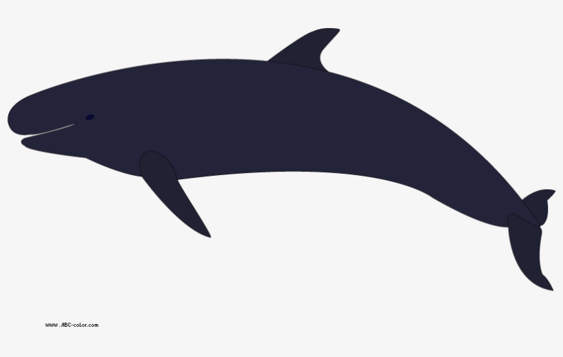 Download Bitmap Picture False Killer Whale - Whales, transparent png