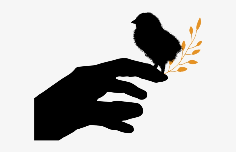Chick - Injustice Animal Cruelty Birds, transparent png