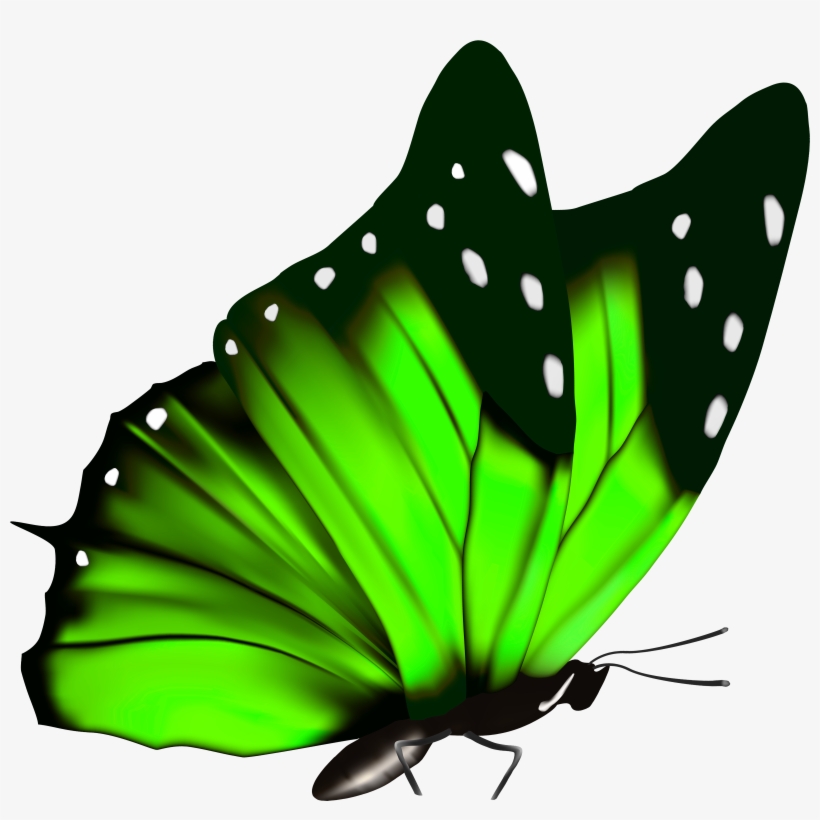 Green Butterfly Png Clipart Image, transparent png