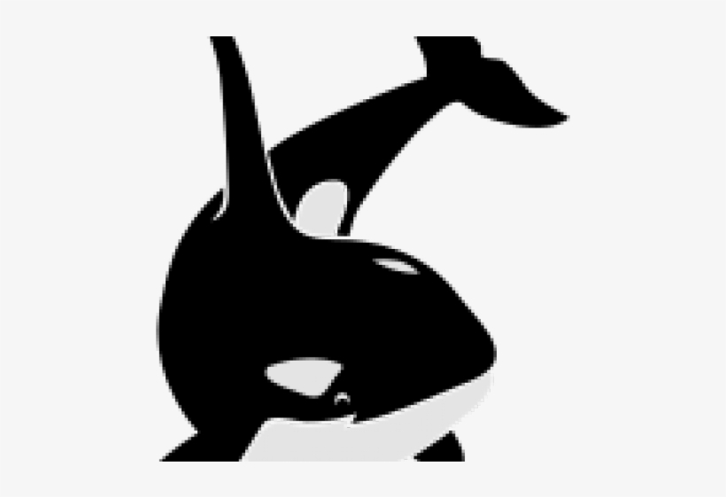 Killer Whale Png Transparent Images - Orca Killer Whale Schwertwal Wal Scu Throw Blanket, transparent png