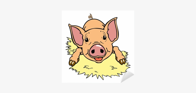 Vector Graphics, transparent png