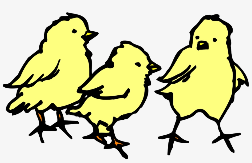 Baby, Barn, Farm, Chicken, Art, Chicks, Chick - Baby Chicks Clipart, transparent png
