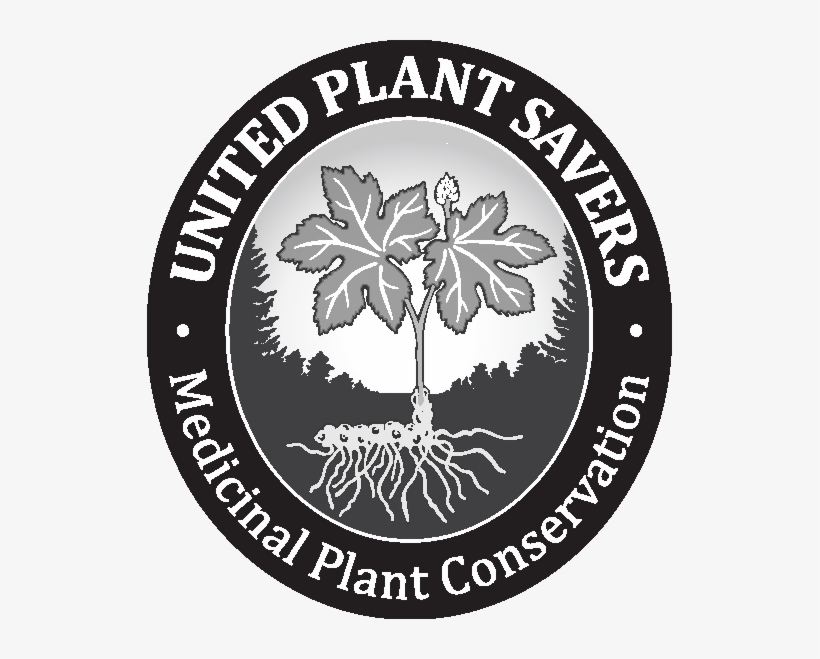 Black/white/grey - Tenby Brewing Co, transparent png