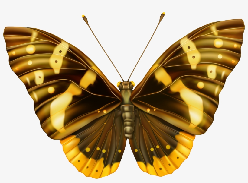 And Yellow Png Image Gallery Yopriceville View - Butterfly Clipart Images Png, transparent png