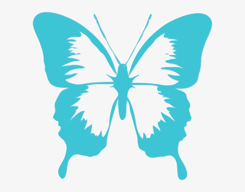 Butterfly Png Images 297 X 279 Px, transparent png