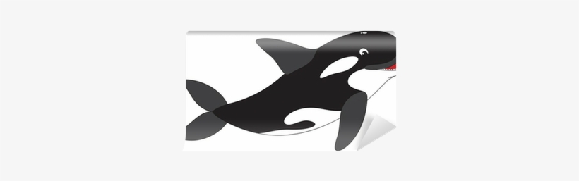 Killer Whale, transparent png