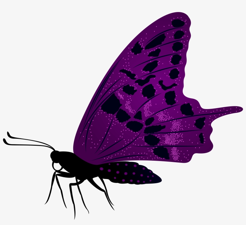 Large Purple Butterfly Png Clip Art Imageu200b Gallery, transparent png