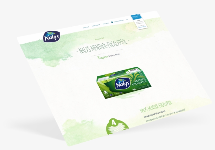 Brochure, transparent png