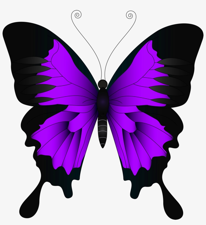 Purple Butterfly Png Pink And Purple Butterfly 4783x5000 PNG