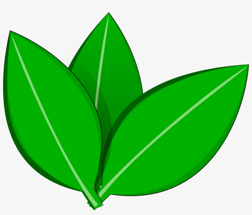 Lovely Design Ideas Cute Tree With Leaves And Pears - Transparent Leaf Vector Png, transparent png