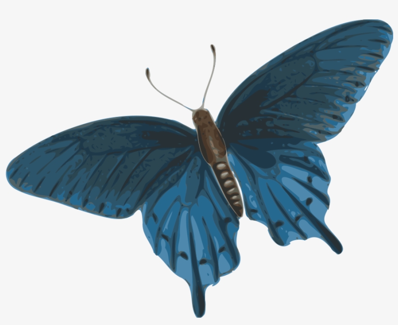 How To Set Use Butterfly Clipart, transparent png