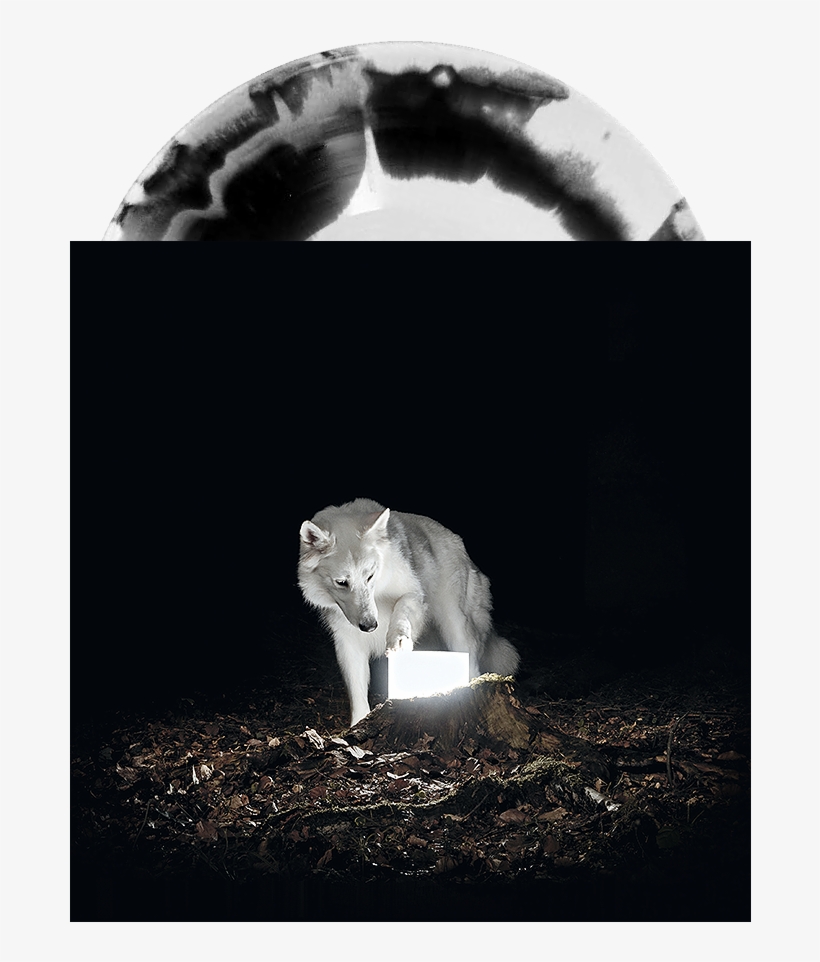 Surveillance - Vanishing Life - Surveillance [cd], transparent png