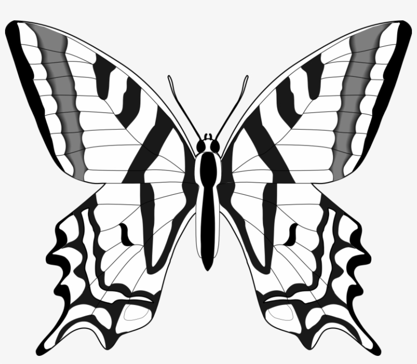 Butterfly Clipart - Clipart Butterfly Images Black And White, transparent png