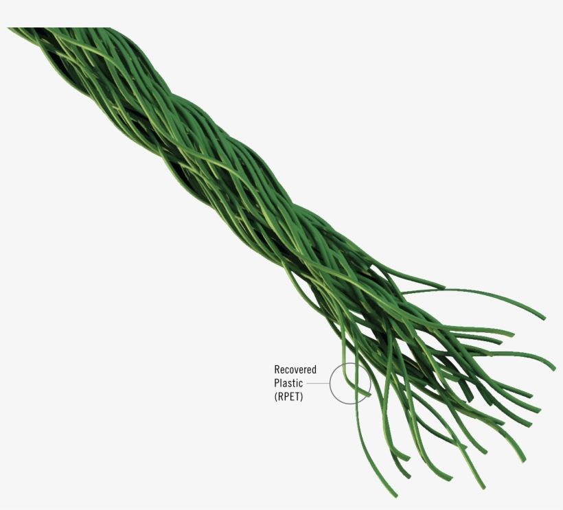 Sea Tex Hunter Douglas, transparent png