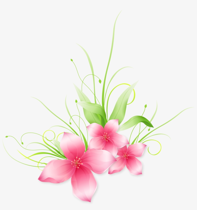 Flower, transparent png