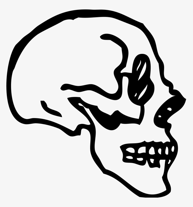 Skull Bone Drawing Human Skeleton - Skull Profile Transparent, transparent png