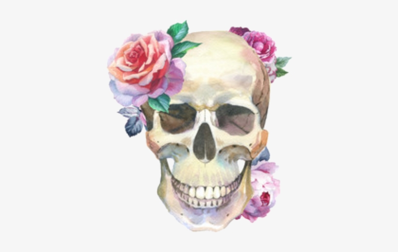 骷髏 水彩, transparent png