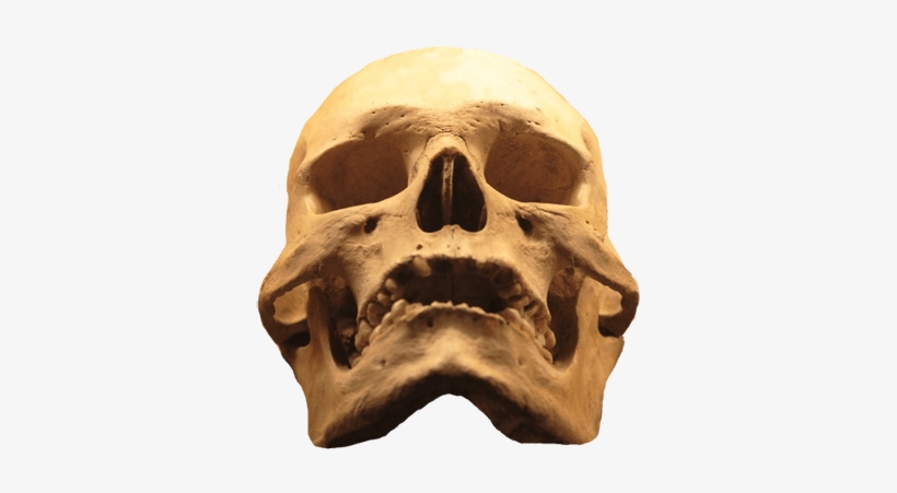 Cool Skull Clip Art - Evil Skull Png, transparent png