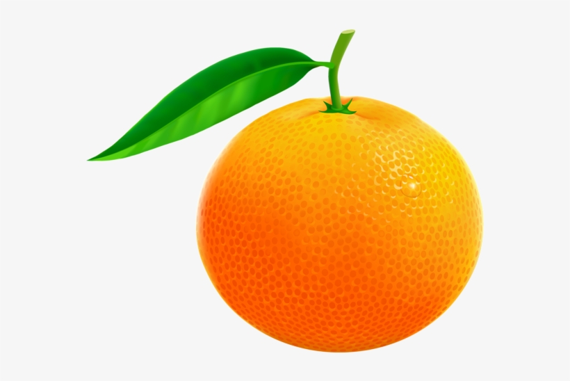 Orange Png Vector Clipart Image - Orange Fruit Clipart Png, transparent png