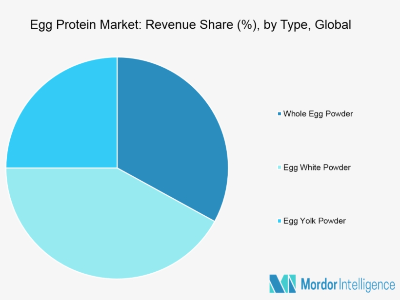 Egg Protein Market Segmentation - Monoclonal Antibody Market Region, transparent png