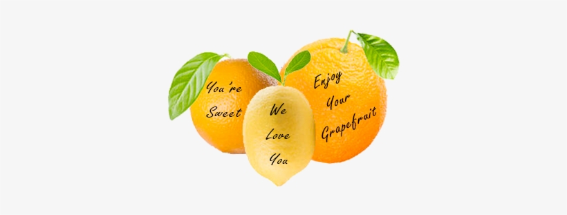 Messagefruit - Tangerine, transparent png