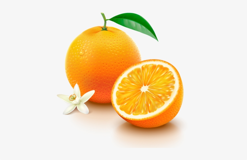 Navel Oranges - Vitamina C Endovenosa, transparent png