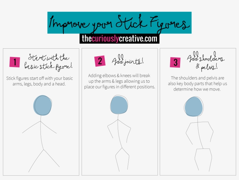 The Beginner's Guide To Figure Drawing - Diagram, transparent png