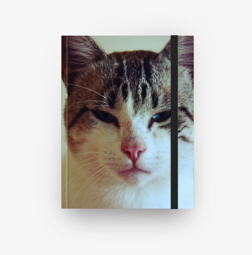 Caderno Happy Cat De Anelise Oliveirana - Domestic Short-haired Cat, transparent png