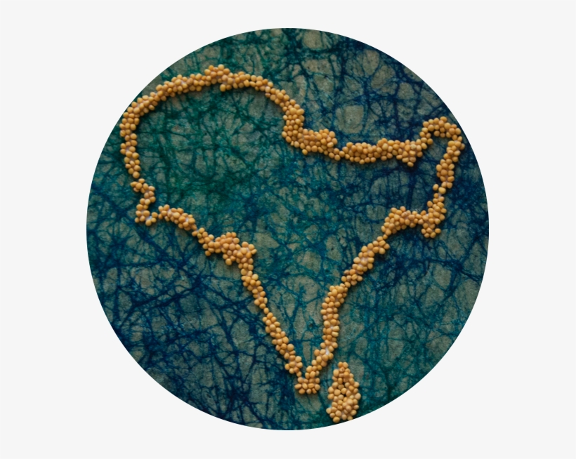 Old Film Texture Png, transparent png