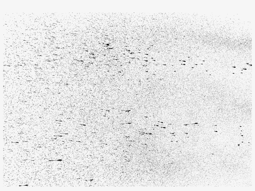 Free Download - Monochrome, transparent png