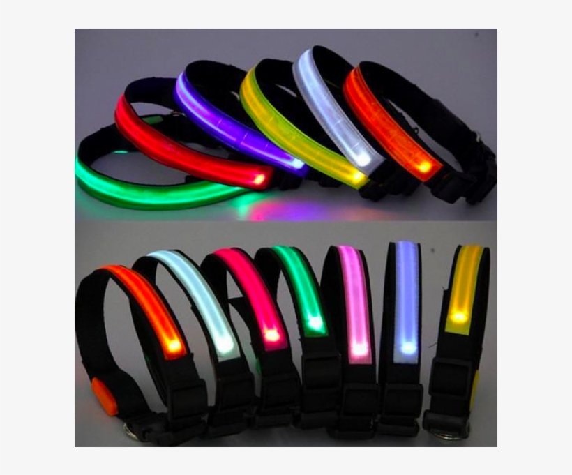 Led Dog Collar With 3 Light Settings - Collar, transparent png