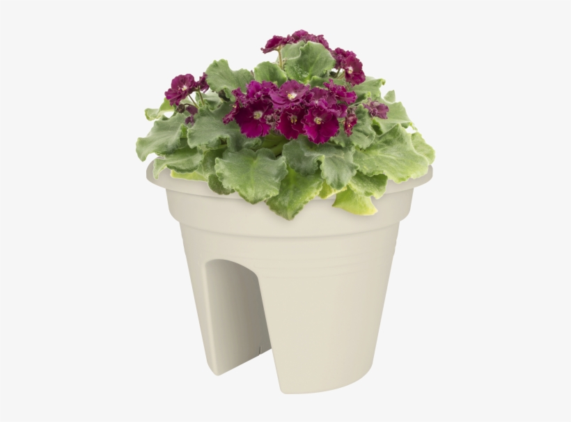 Home > Collection > Green Basics Flower Bridge - Flowerpot, transparent png