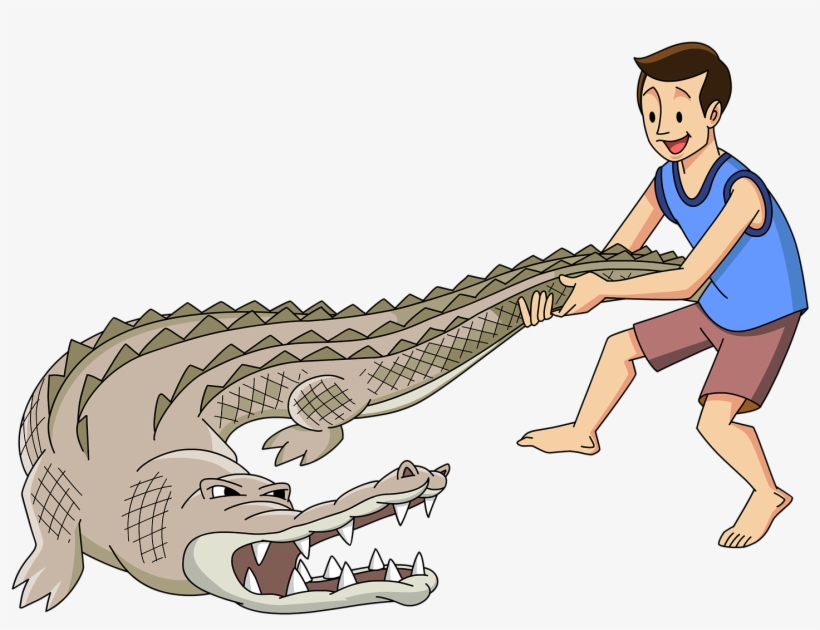 On Facebook Friday, South Carolina's Fripp Island Resort - Man Wrestling Alligator Cartoon, transparent png