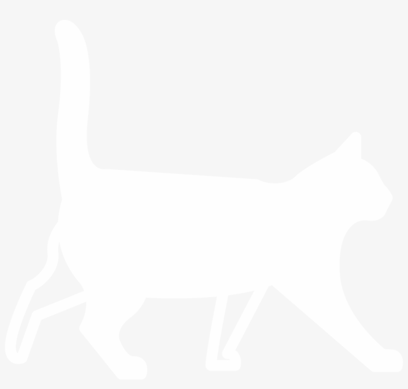 Hot Cat - Domestic Short-haired Cat, transparent png