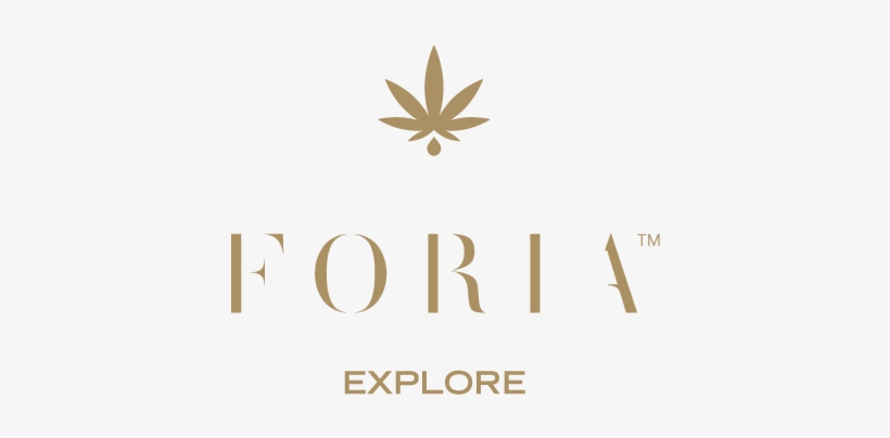 Explore Relief, transparent png