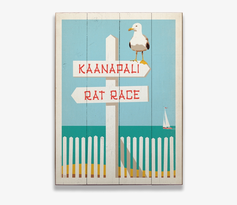 Beach, transparent png