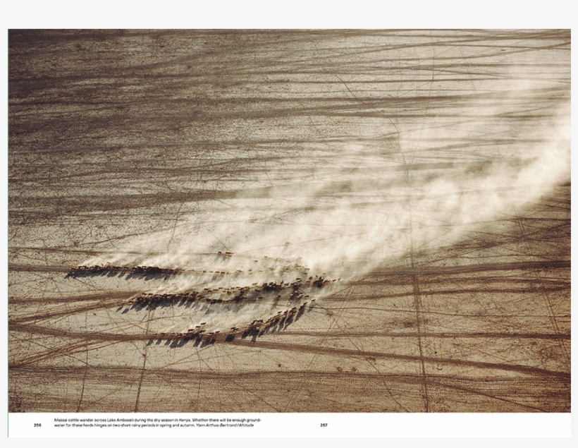 12/15 - Shadow, transparent png