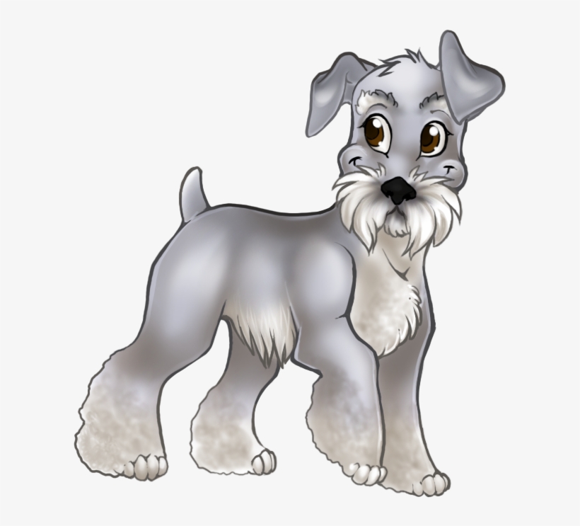 Femaleprev1 - Standard Schnauzer, transparent png