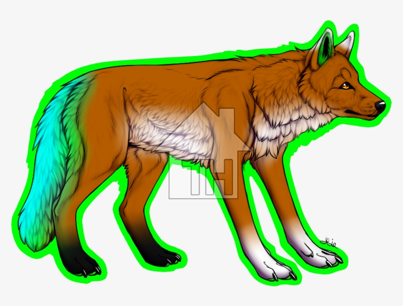 Details - Mackenzie River Husky, transparent png