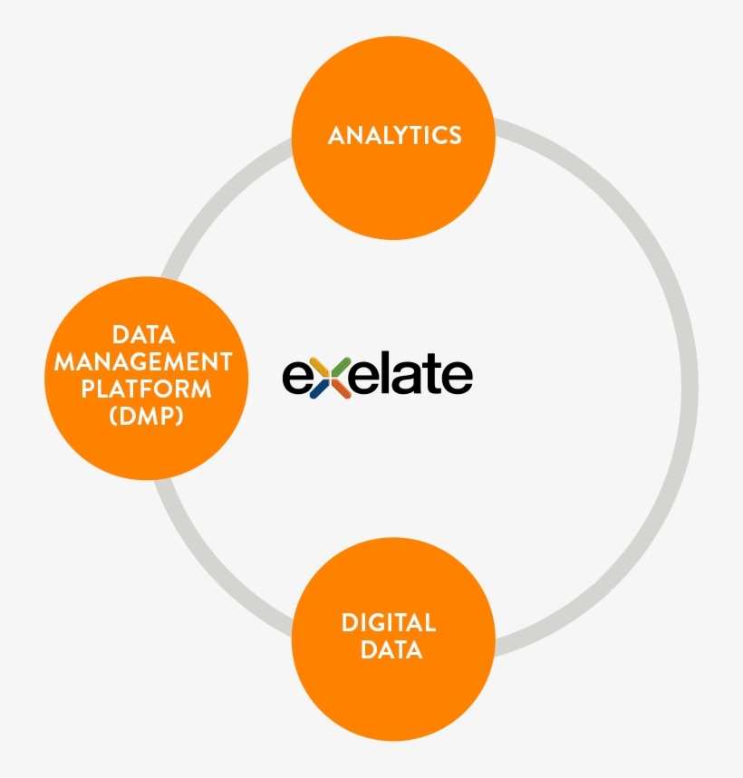 Integrating Nielsen Solutions Into A Cohesive Backbone - Circle, transparent png