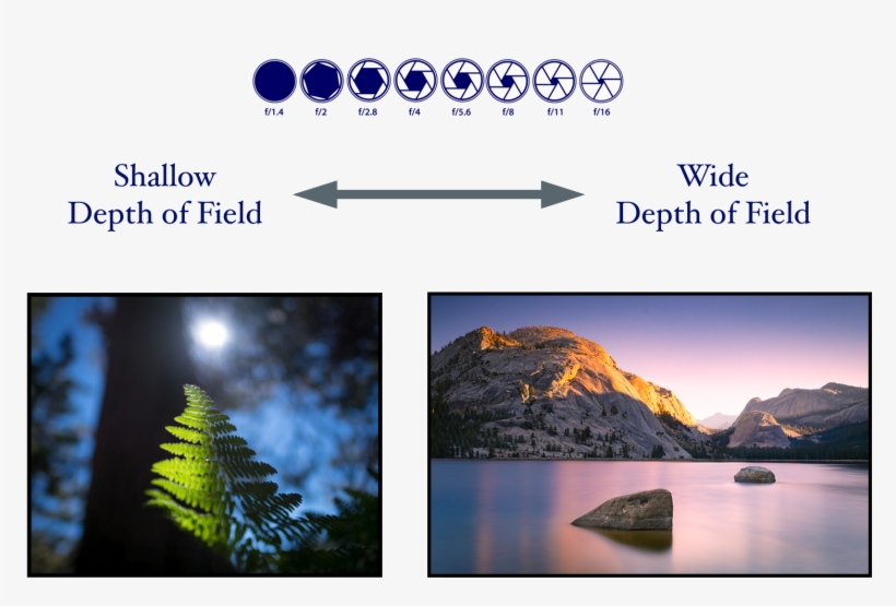 Three Things Affect Depth Of Field - Summit, transparent png