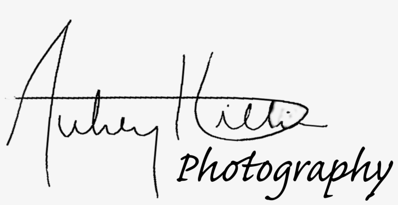 Aubrey Hillier Photography - Line Art, transparent png
