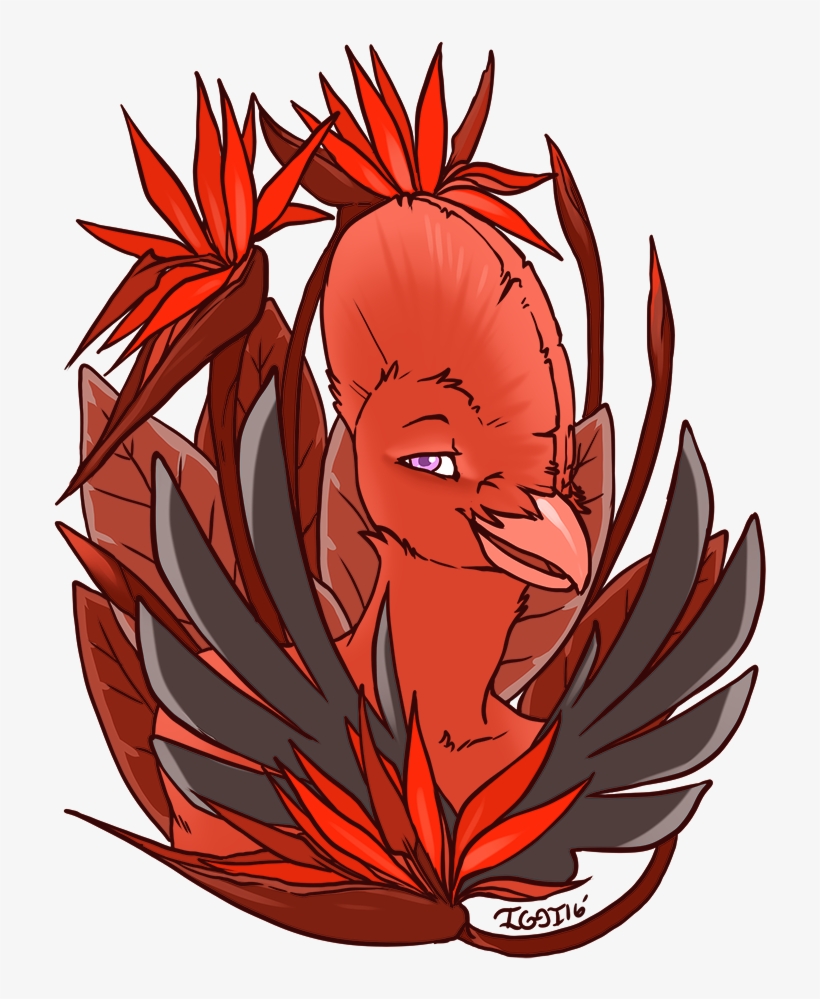 Bird Of Paradise - Illustration, transparent png