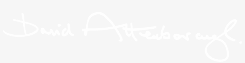 Johns Hopkins Logo White, transparent png