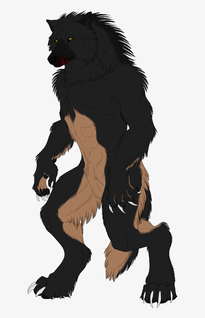 A Full Body Commission From Fenrirsulfer Of Shane Shortly - Werewolf Fenrirsulfer, transparent png