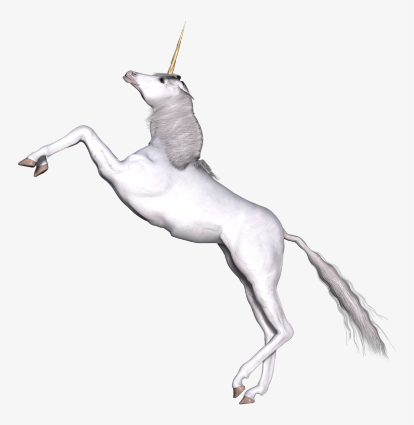 Full White Unicorn Prancing - Unicorn, transparent png