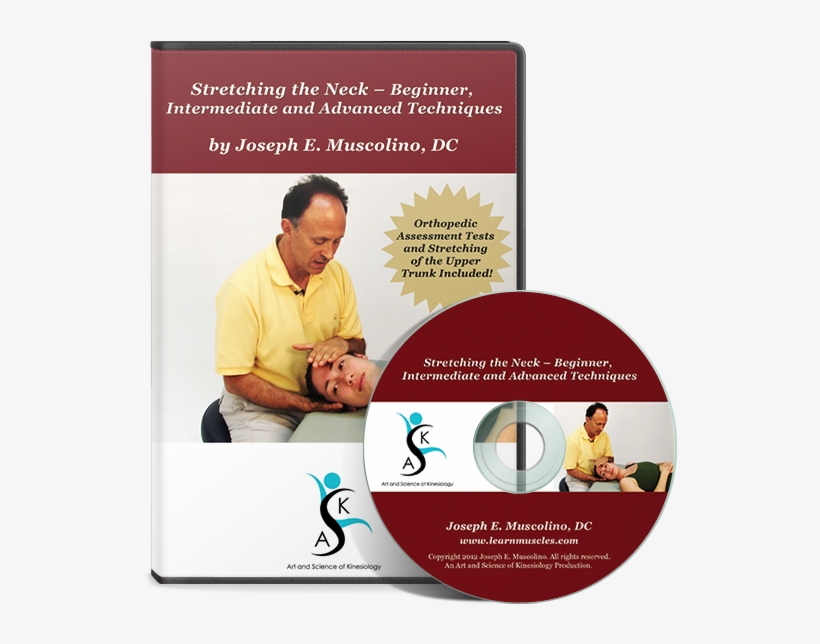 Stretching - Flyer, transparent png