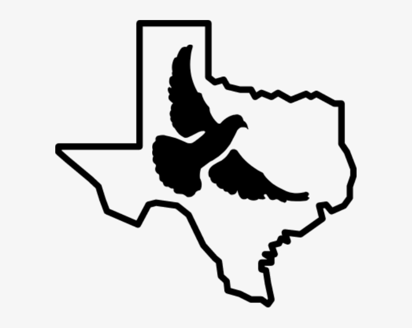 Breed Deer For Sale - Icons San Antonio, transparent png